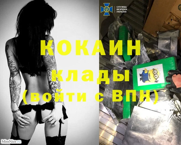 сатива Коряжма