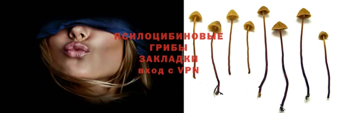 кокаин перу Балахна